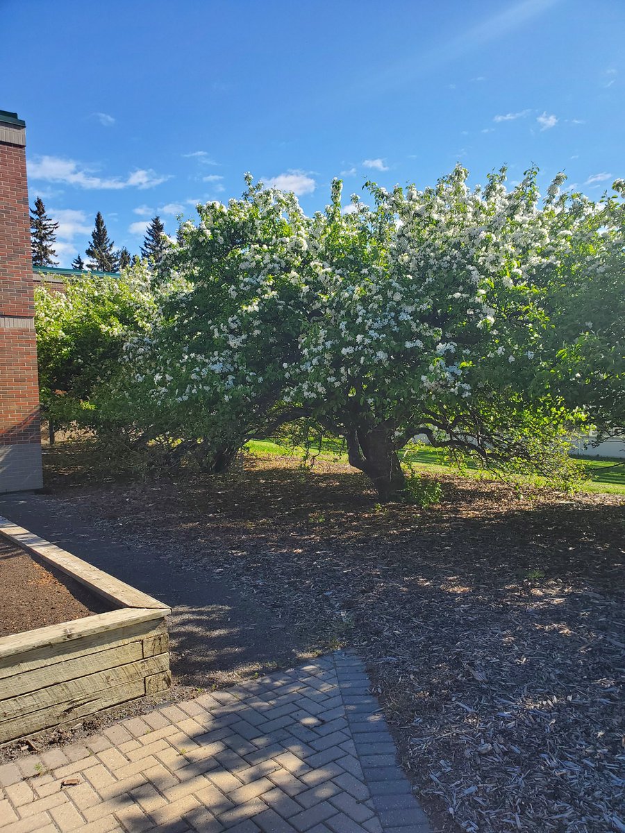 Christine Fulkerth tweet media