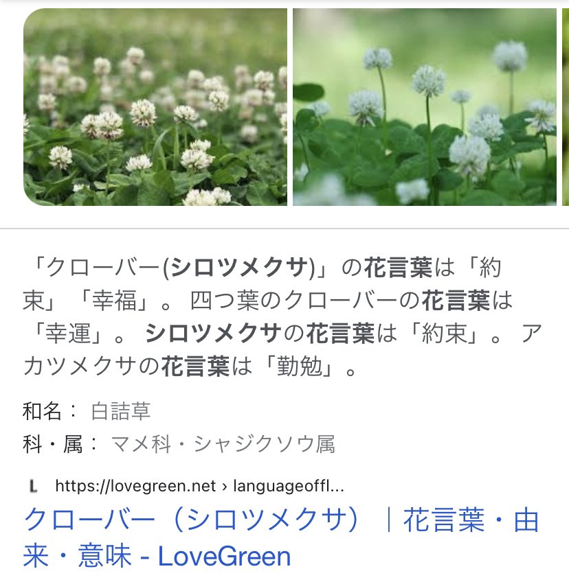 さゆさん イブのアニメでメリーの花冠のお花多分これだし 泣くわ ﾟ ﾟ W ﾟ ﾟ メリッサ キンレンカ T Co Xfd3hu2vij Twitter