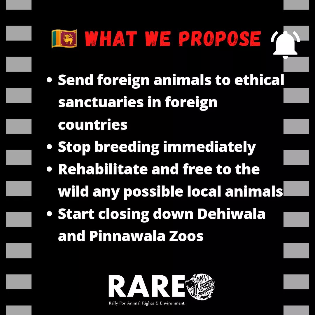 RARE_SriLanka's tweet photo. ☑️The space at Pinnawala Elephant Orphanage & Zoo can be made into Elephant Sanctuary Pinnawala for bull elephants ☑️The space at Ridiyagama Safari Park to be made Ridiyagama Elephant Sanctuary for female elephants #NoToCaptivity #NoToZoos #zoocruelty #sriLankazoocrisis https://t.co/6W1XvnfgAU