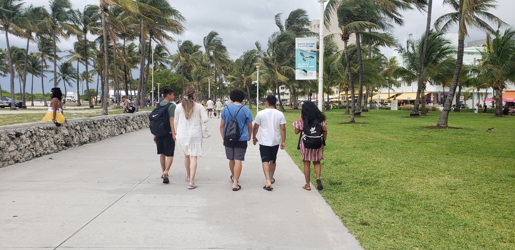 David MacLeod tweet media