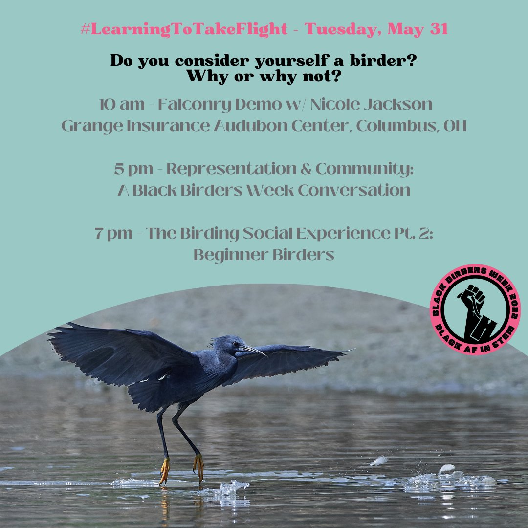 BlackAFinSTEM's tweet photo. Welcome to #LearningToTakeFlight, day 3 of #BlackBirdersWeek2022!
Tell us about if and/or when you started calling & considering yourself a birder! What does it mean to you, if anything?
Also, don't forget we have talks coming up this evening at 5 & 7 PM EDT! Details 🪶 ⬇️ https://t.co/xwBXHJZpUo