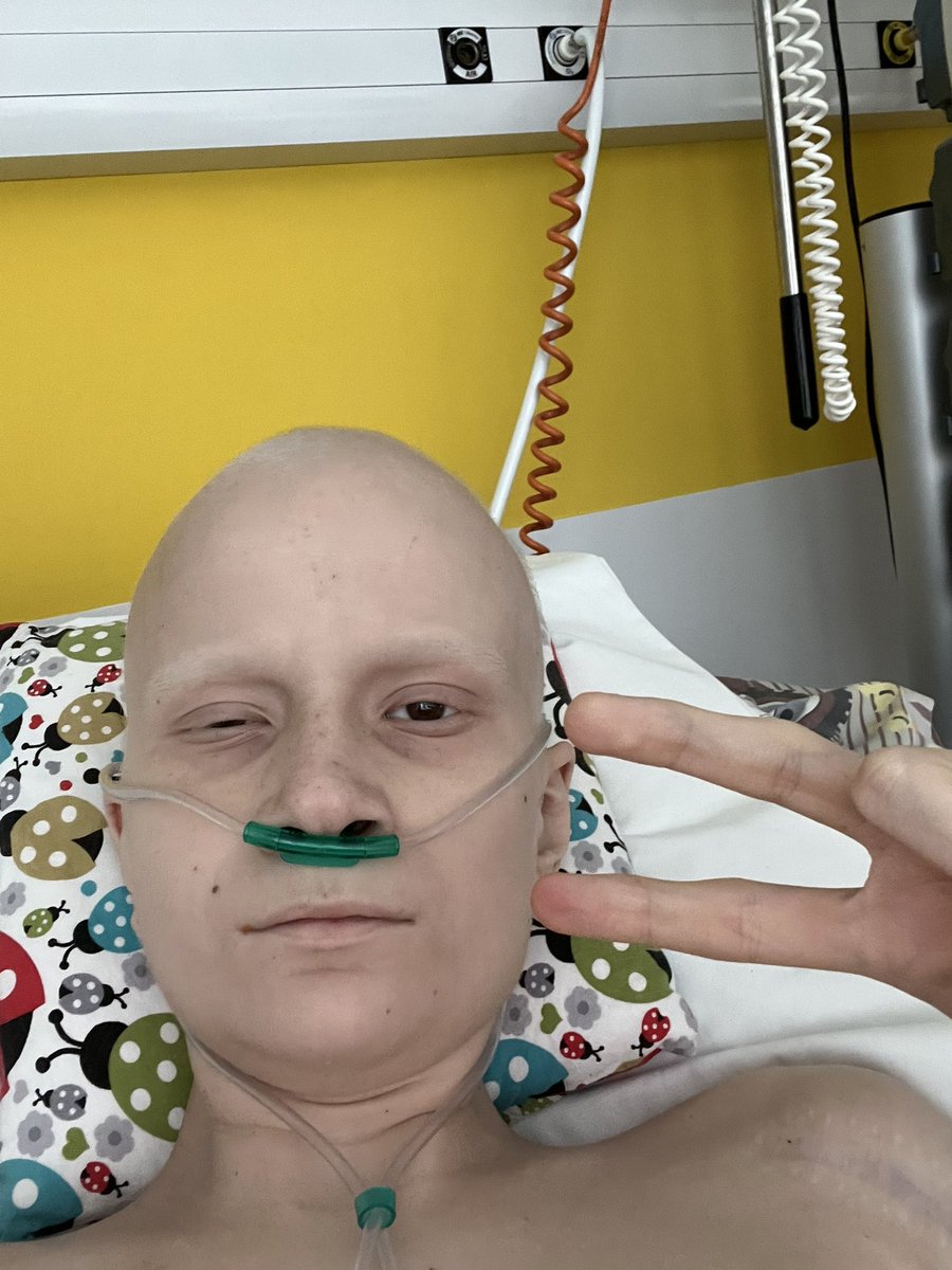 petule 🦋 tweet media