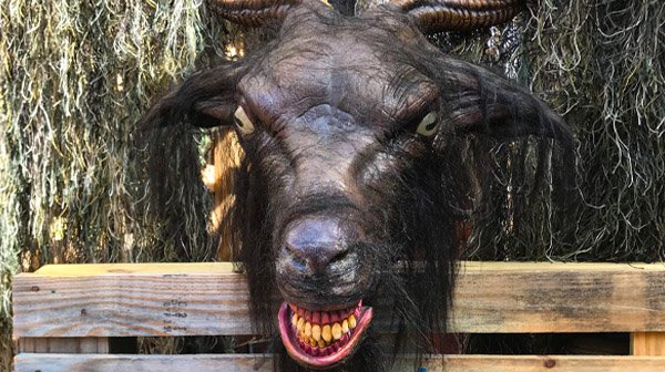 Tronforlifetrx's tweet photo. @HauntedGoats My haunted goat https://t.co/BTswa1AJqF