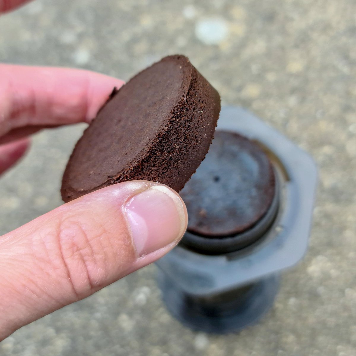 Osmose's tweet photo. do ya'll eat the little cookie that comes out of the aeropress with or without the skin? https://t.co/2oP7eu93jU