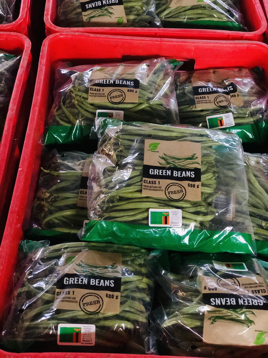 TheYoungFarmer's tweet photo. Yet another busy day long day preparing to supply Our chainstores. Quality,Quantity and Consistency best know as the farming Holy Grail. One step closer to hitting the Export market one day https://t.co/cbMs4sX9i7