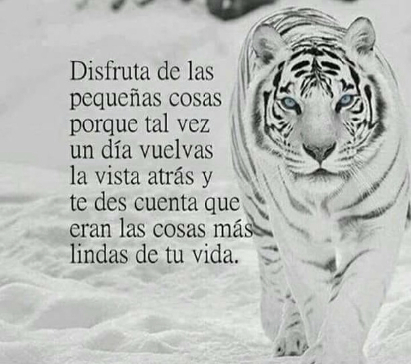 Paulo Coelho Español (@paulocoelhodice) on Twitter photo 