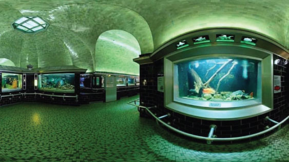Today in STEM History: In 1904, the Belle Isle Aquarium—the oldest in the US opened. In 2005 the aquarium closed its doors until it reopened in 2012 as the Belle Isle Conservancy. 

Happy Birthday, <a href="/DetroitBIC/">Belle Isle Conservancy</a>!