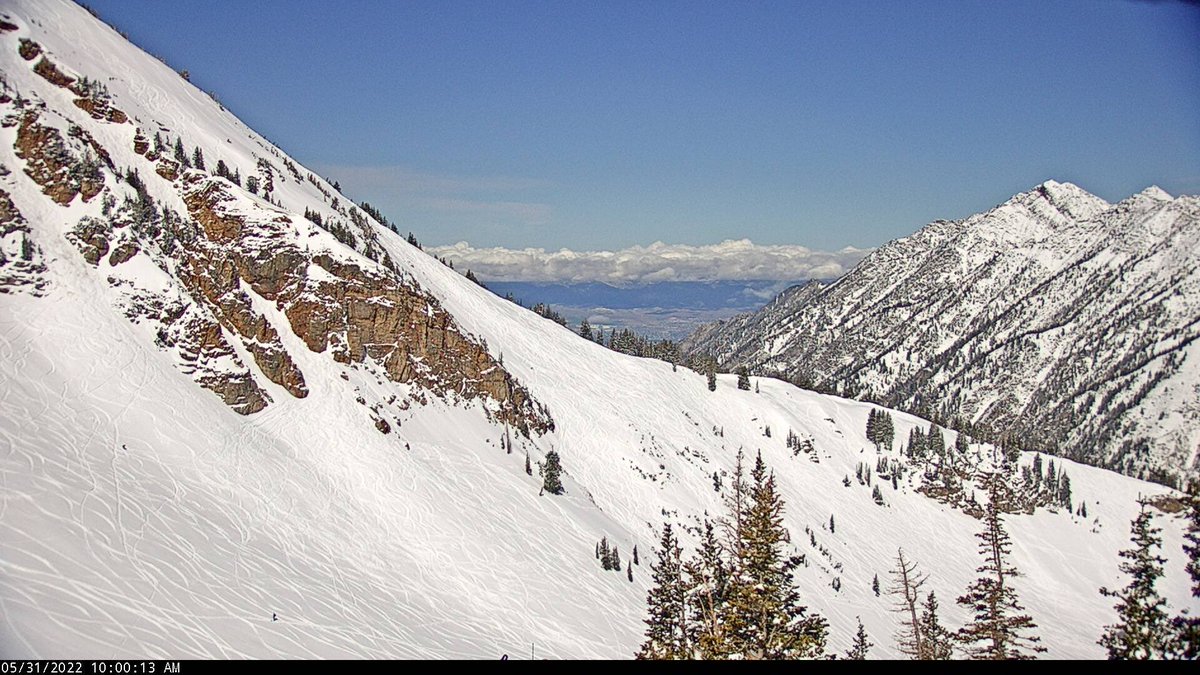 WasatchSnow's tweet photo. It’s May 31st, the resort hasn’t even been open for over a month, and just look at how many tracks there are in Ballroom and the High Shoulder. Seriously, zoom in! Y’all make me proud. #UtahnsDontQuit #AsLongAsThereIsSnowWeSki https://t.co/N9lHdkcJtV