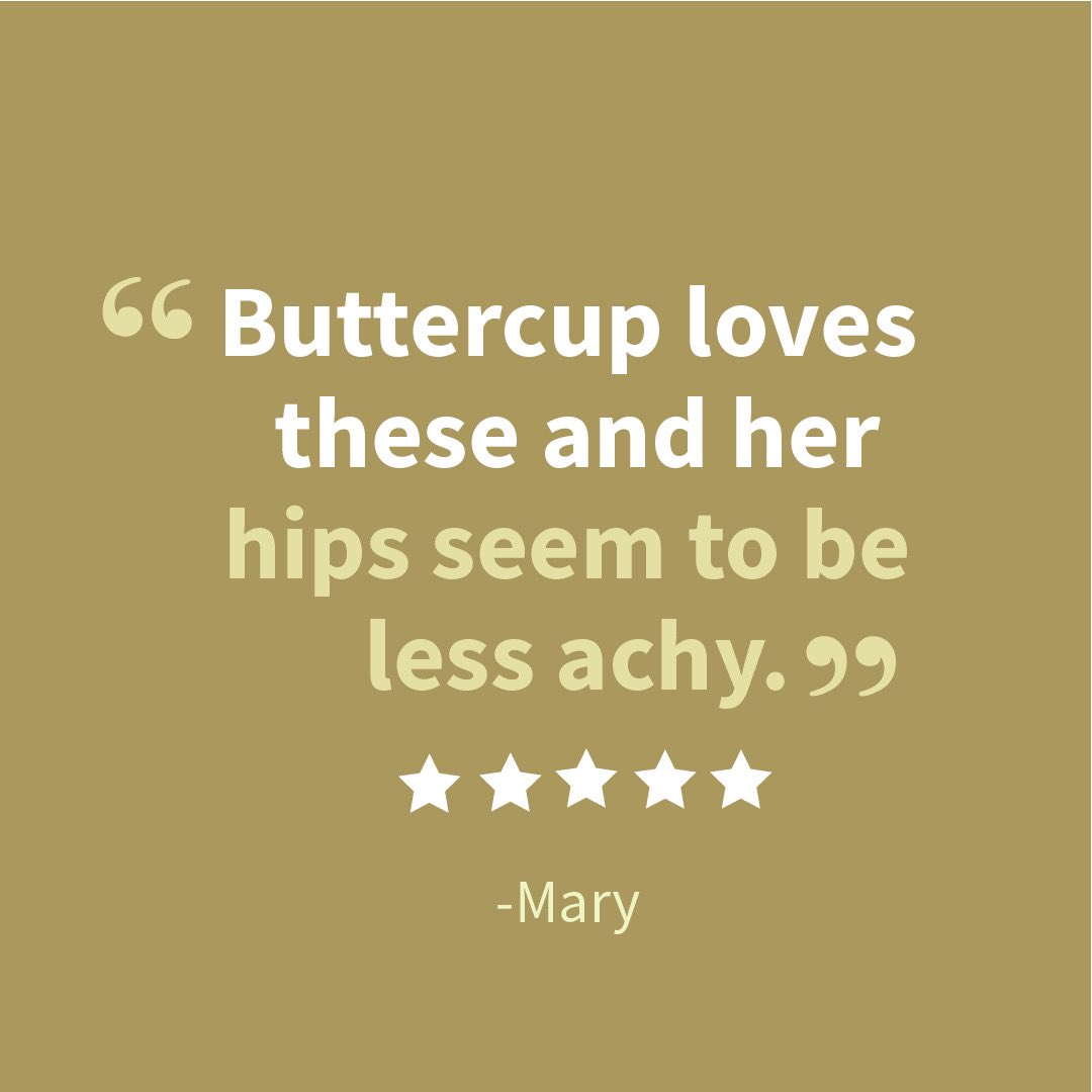 HTreatibles's tweet photo. "Buttercup loves these and her hips seem to be less achy" 🐶 Customers give our products five stars ⭐️⭐️⭐️⭐️⭐️

Link in bio to shop now! 🌿

#harmonyforthewholefamily #mobility #dogs #cats #healthypets #vetrecommended #happydog #dog #organic #bestbark #pet #pets #petlovers https://t.co/gC8zZubbv3