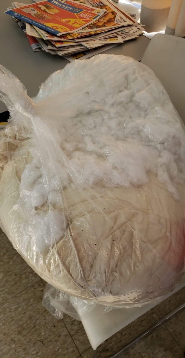 InferiorCandy's tweet photo. #notallwashingmachines #Nowashrinserepeat #bekindtopillows https://t.co/PVDNiiepIM