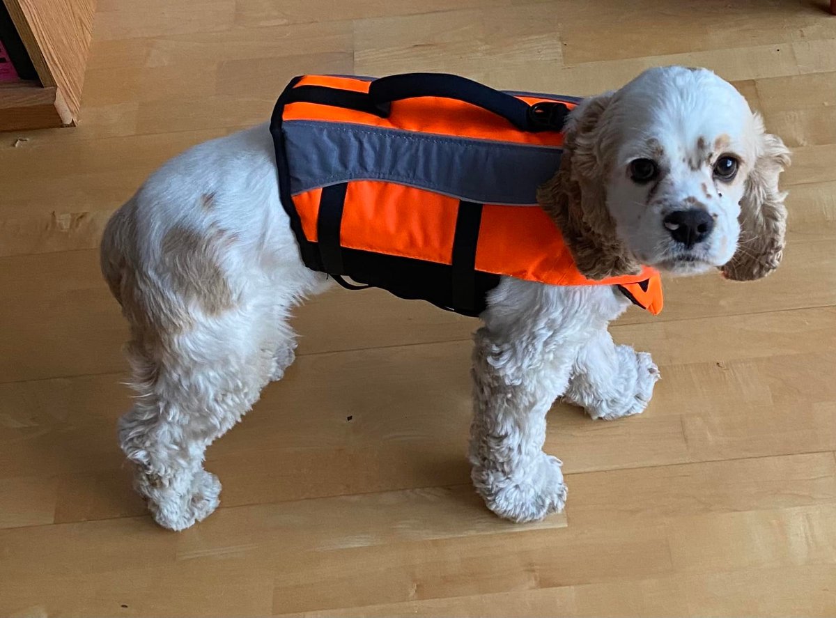 At the River Institute, we always practice aquatic safety.