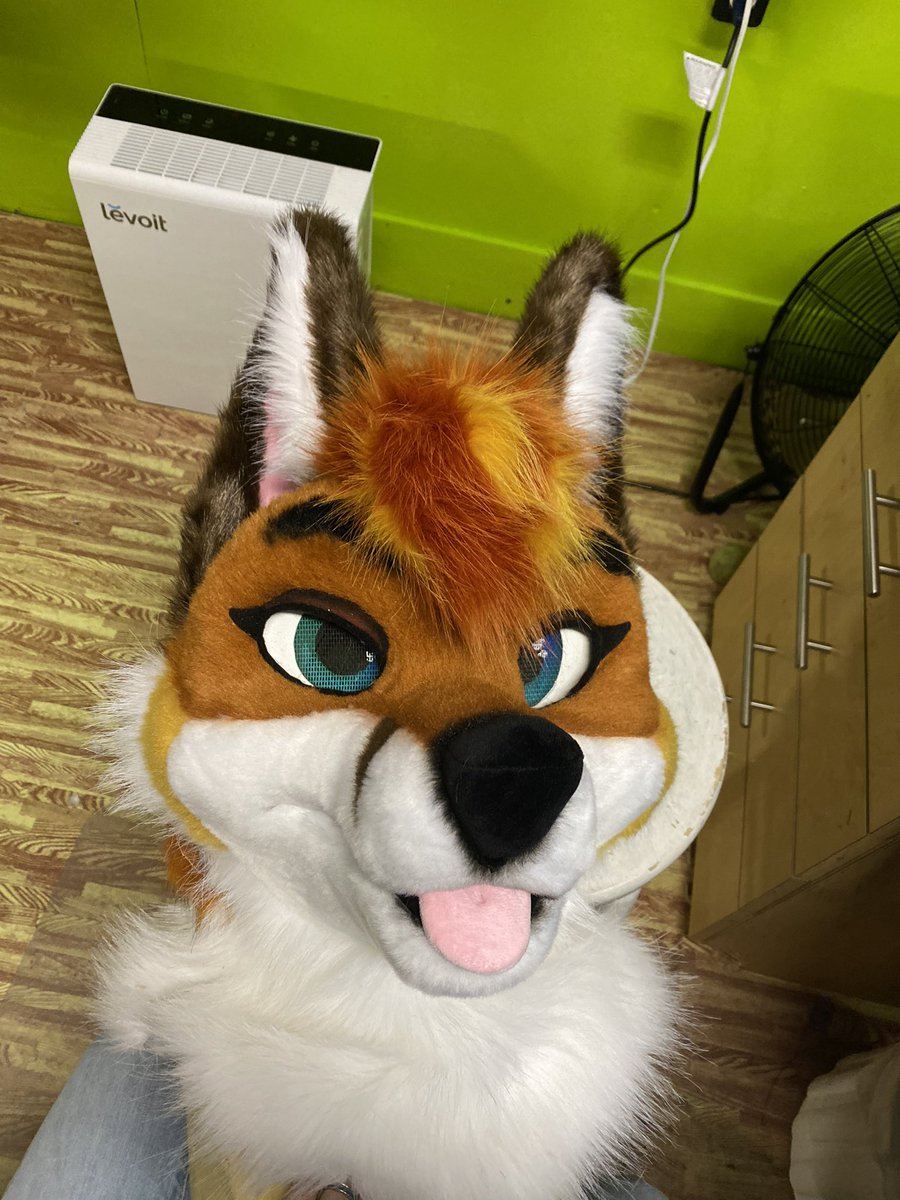 MadeFurYou's tweet photo. Finished these absolutely stunning vixens before heading on our trip last week! Look for them at BLFC! https://t.co/hALympV2SC