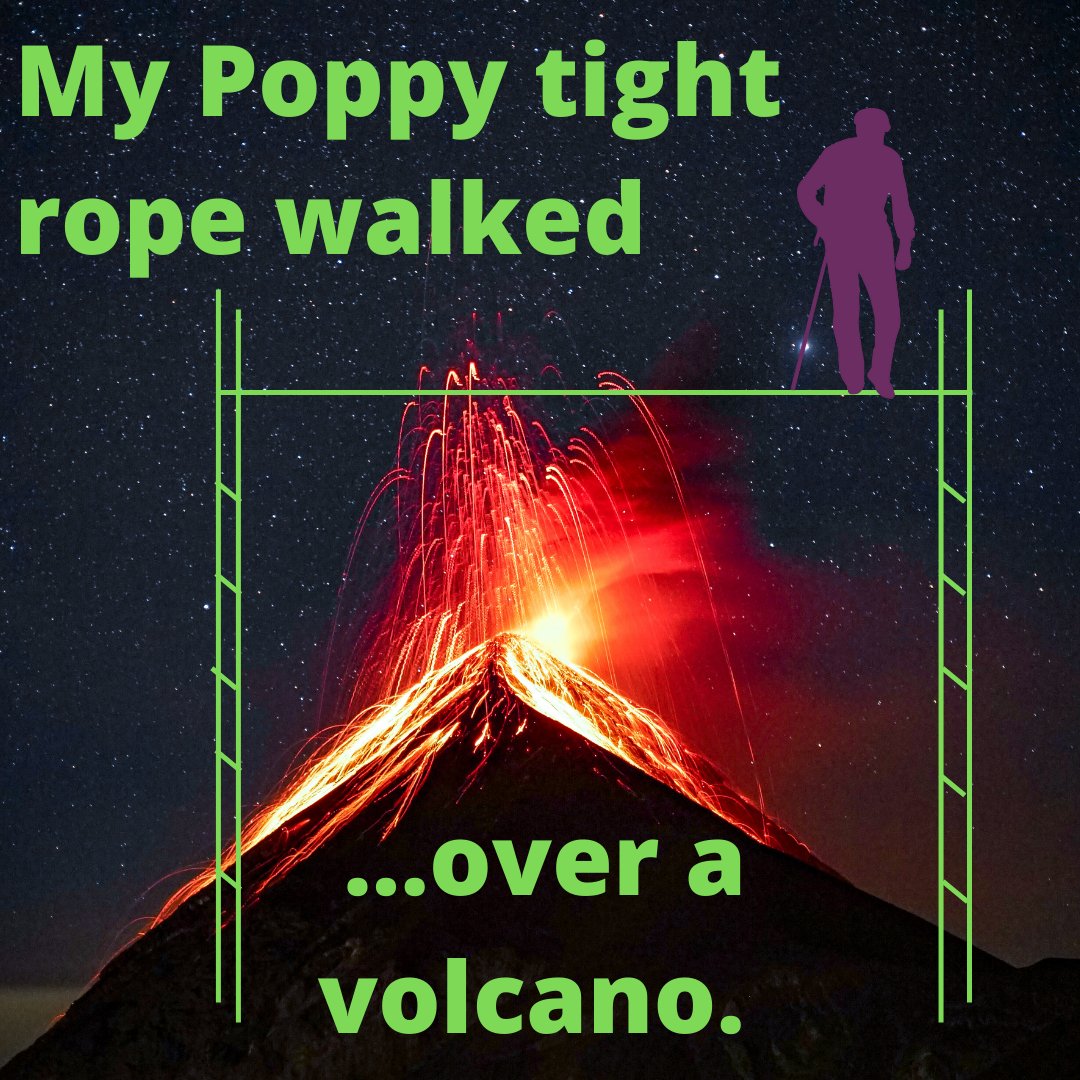 Butterf04210141's tweet photo. Poppy is a hero to my child... thanks to all the Poppy's out there! "My Poppy" has amazing adventures! #mypoppy #motherhood #fatherhood #parentinghumor #lol #parenting #kids #funny #lmao #twitter #mommemes #mommyhood #funnykids #kidsarefunny #grandparents #grandpa #family #papa https://t.co/Yi3vHogSbs