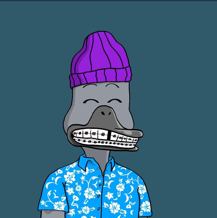 ElDuck58554140's tweet photo. @noncoducks @NFTamen13 @goblintownwtf Let’s see u at the coliseum fucking globin #DucksUnited https://t.co/ZJOXlbiNHe