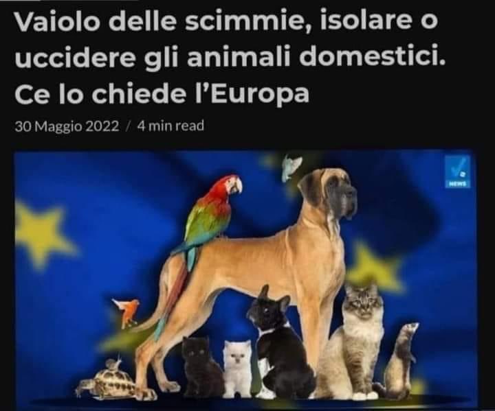 ADA79991318's tweet photo. @liliaragnar AHOOOO MA CHE NOTIZIE METTONOOOO 😭😭😭😭😭😭😭😭👿👿👿👿#FINITELA😭😭😭😭😭😭😭😭#ADRY TESÒ STA NOTIZIA CHE COS'È????😭😭😭😭😭😭😭😭😭😭😭SE MI TOCCANO LA MIA GATTINA FINISCE IN TRAGEDIA😭😭😭😭😭😭😭👿👿 https://t.co/RvpEFigcvl