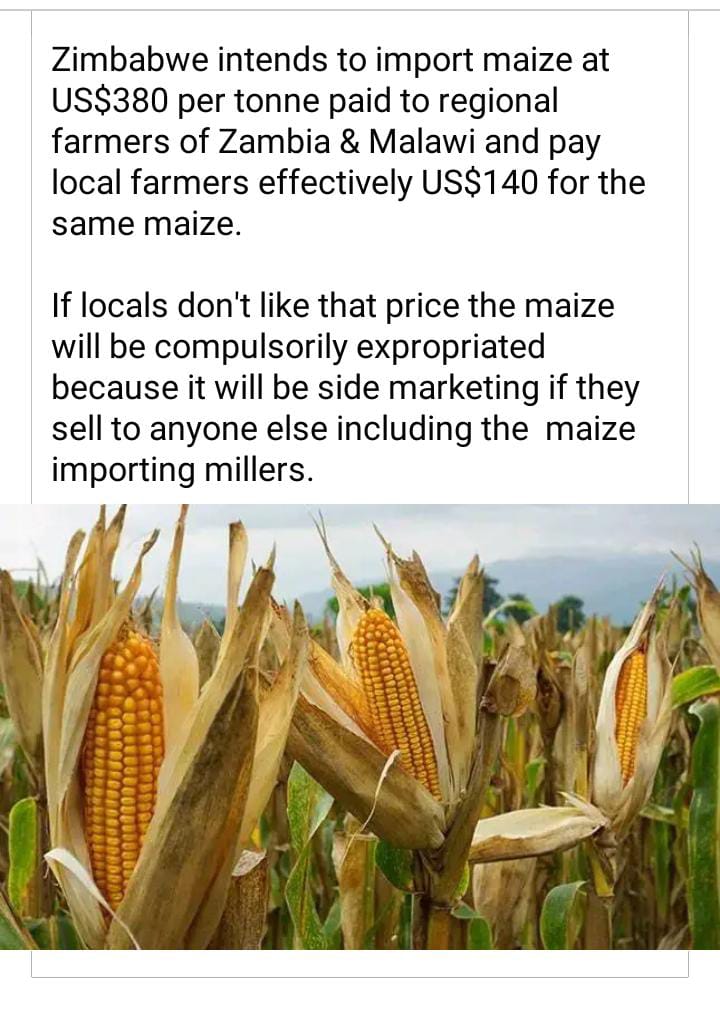 Is this information correct or it's just hearsay <a href="/nickmangwana/">Nick Mangwana</a> <a href="/KMutisi/">𝑲𝒖𝒅𝒛𝒂𝒊 𝑴𝒖𝒕𝒊𝒔𝒊</a> <a href="/daddyhope/">Hopewell Chin’ono</a>