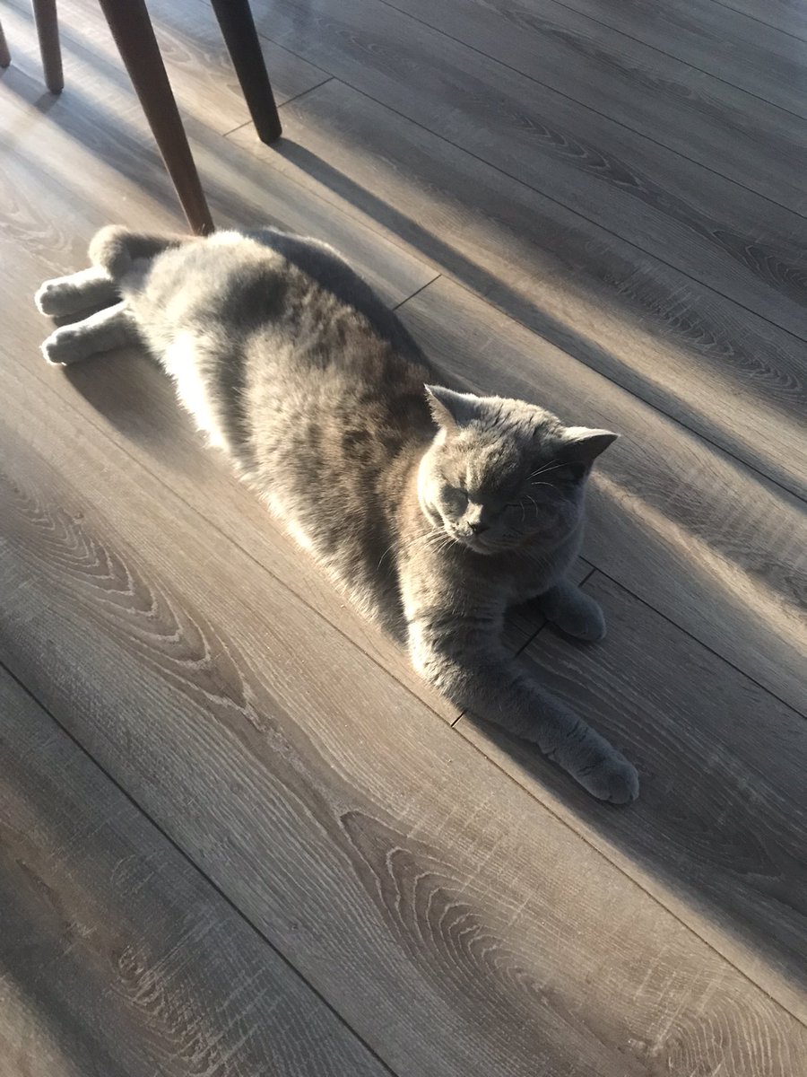 akçam goneşi kime furuyodu????