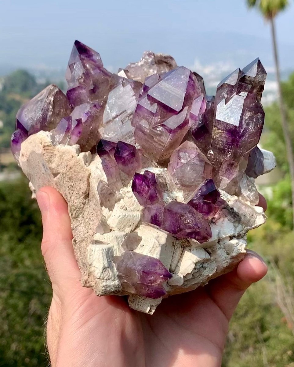 Outstanding Amethyst crystals On Matrix.
Brandberg Complex, Erongo Region, Namibia, Africa. 

Photo: HotSpells/Christian S

#minerals