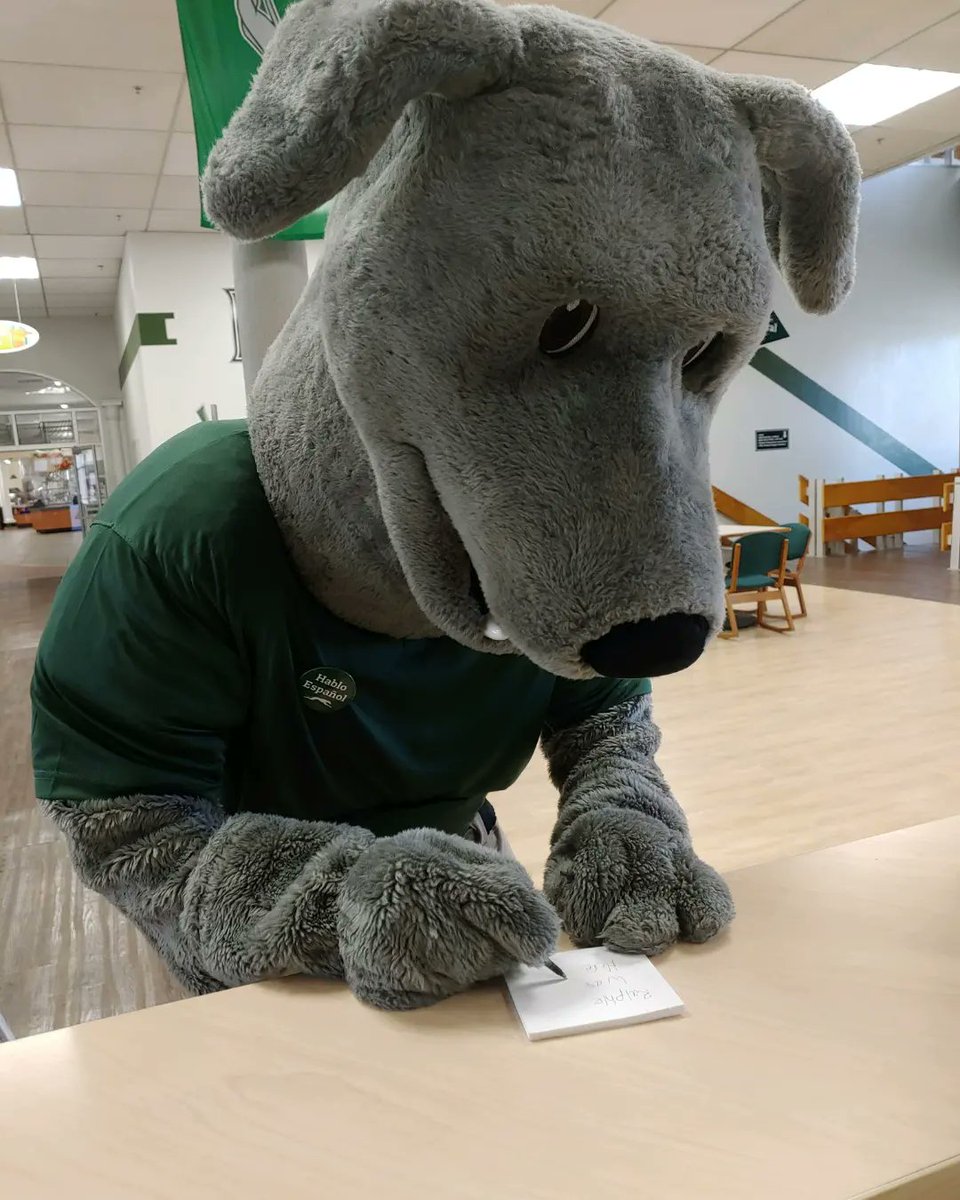 ASABENMU's tweet photo. Be like Ralphie and fill out our survey! ASAB counts on students responses so we can be better! Let us know how we did last semester by following this link https://t.co/RycJ2yxXDv
We look forward to seeing you in the Fall Greyhounds! 💚🖤 #asabenmu #campuslife #gogreyhounds https://t.co/gPo5amL7im