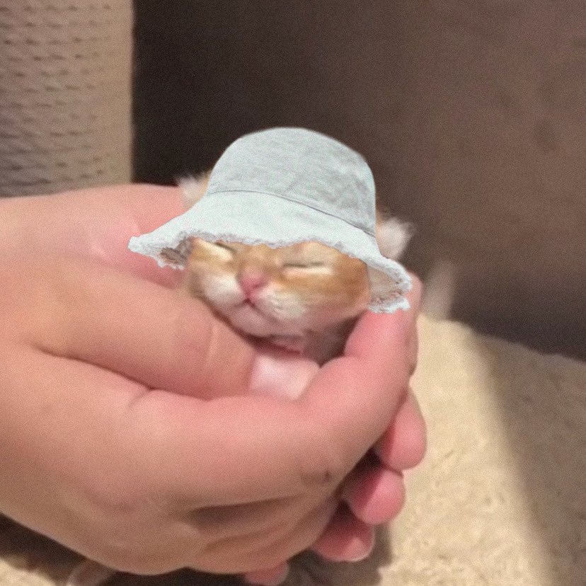 TlNYSANA's tweet photo. https://t.co/BDzHvrGxbJ