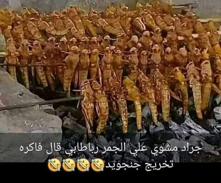 KobalaKhalid's tweet image. ظلمنا الجراد