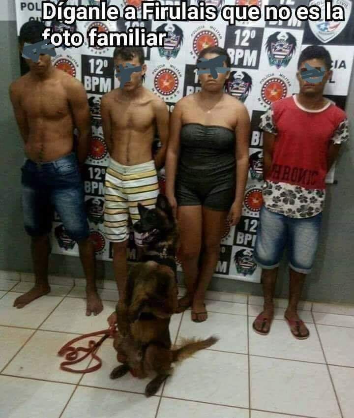 🤣🤣🤣🤣🤣🤣 ¡el perro! ❤