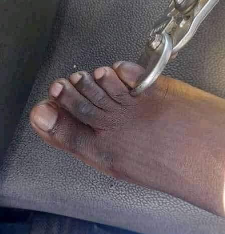 AdvoBarryRoux's tweet photo. eRoute Zimbabwe! There's a new currency called Clip-Toe currency, invented by our Zimbabwean friends. https://t.co/pDYp4nhKLv