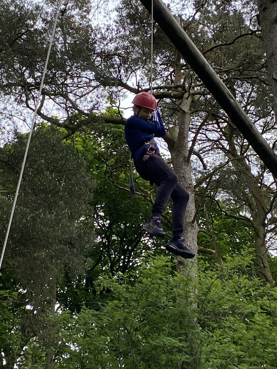 MrsPorterLVPS tweet media