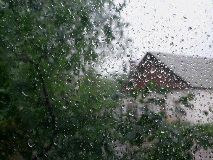nymphaeria's tweet photo. rainy days. https://t.co/uNWKDgfi44