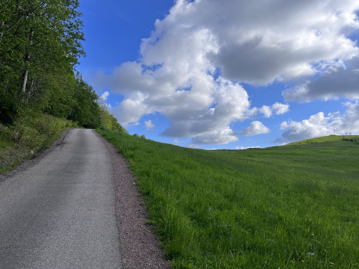 Budda's tweet photo. 5,91 km Tuesday walk. 👊🏽

I think we may have walked into an old windows background? https://t.co/HJLsbqNtOX