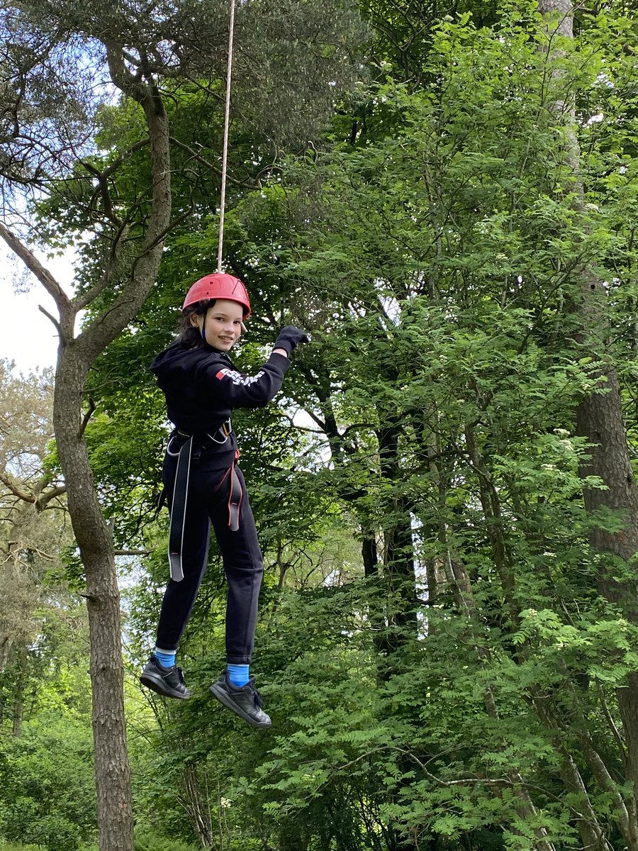 MrsPorterLVPS tweet media