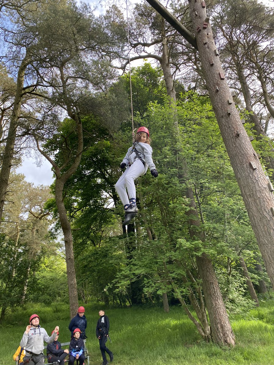 MrsPorterLVPS tweet media