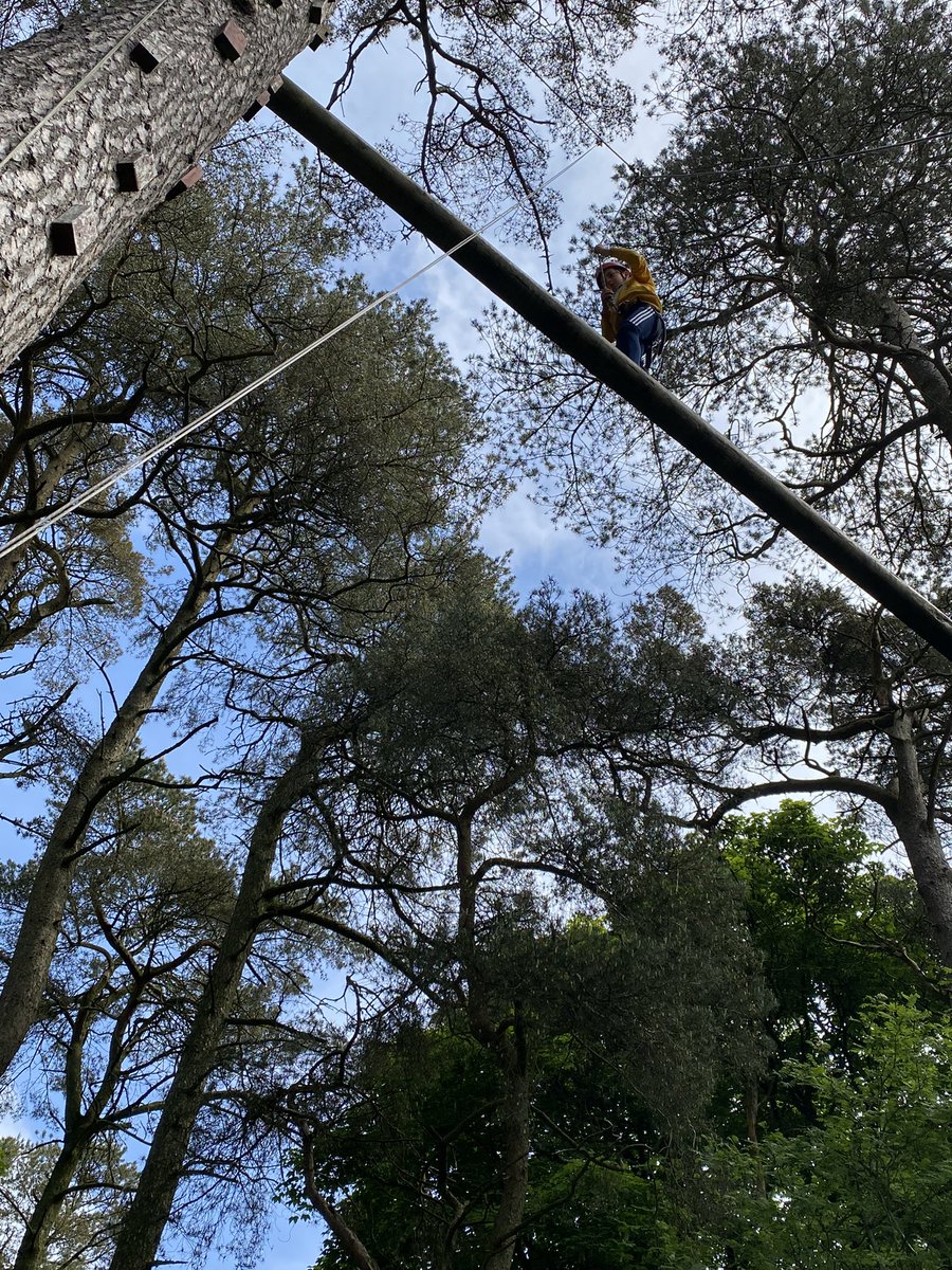 MrsPorterLVPS tweet media