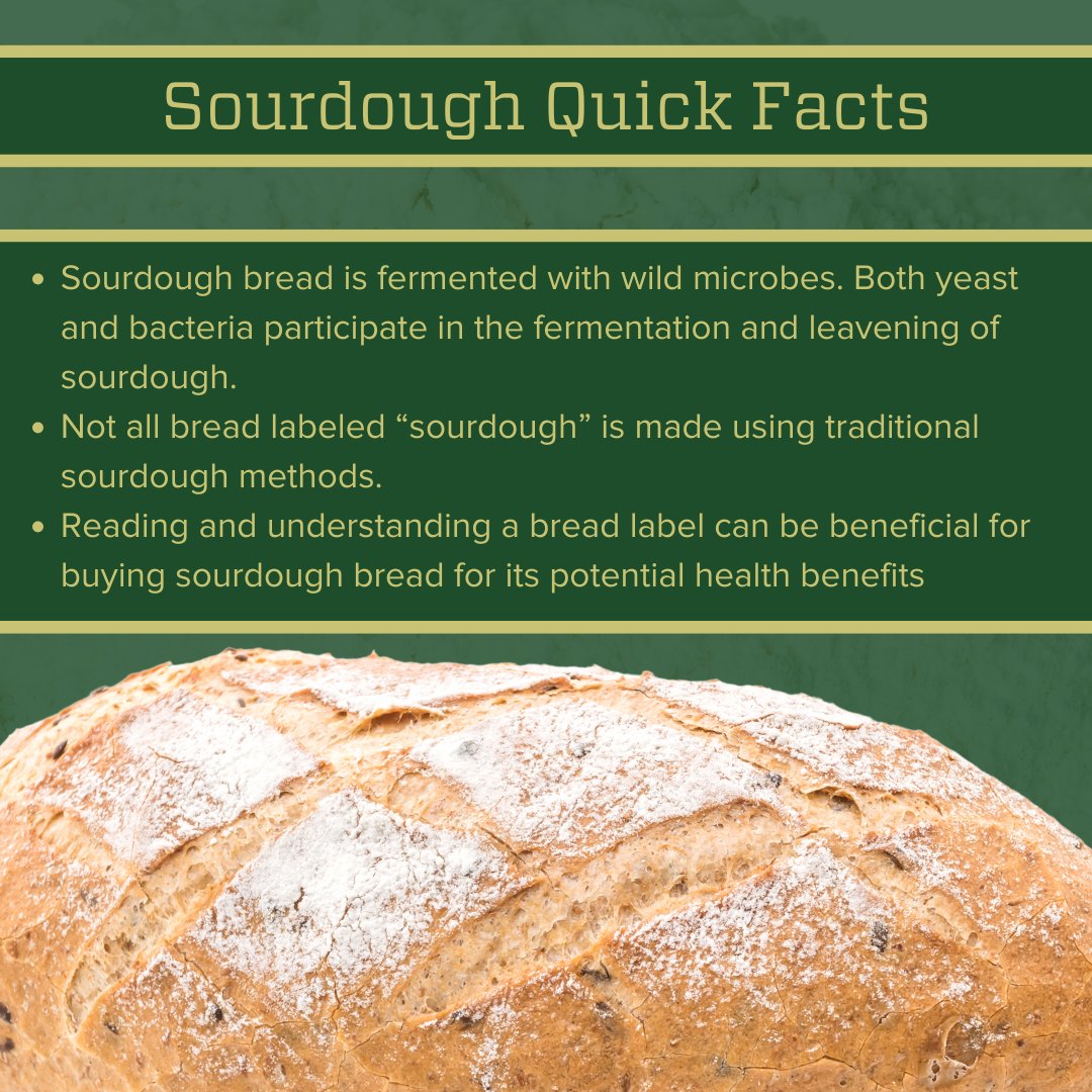 Health Benefits Sourdough Benefits: Unlocking Nutritious Secrets