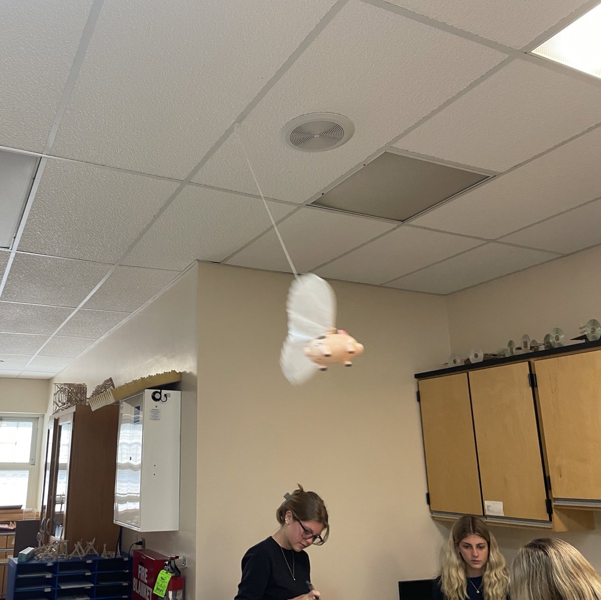 oconnell_ms's tweet photo. Catapults and flying pigs!!#funphysics https://t.co/k4PvKjZkHn