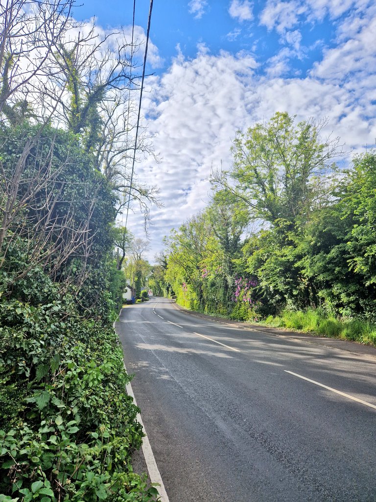 Lemon Tree 🇳🇿🥝🍋🇪🇺 tweet media