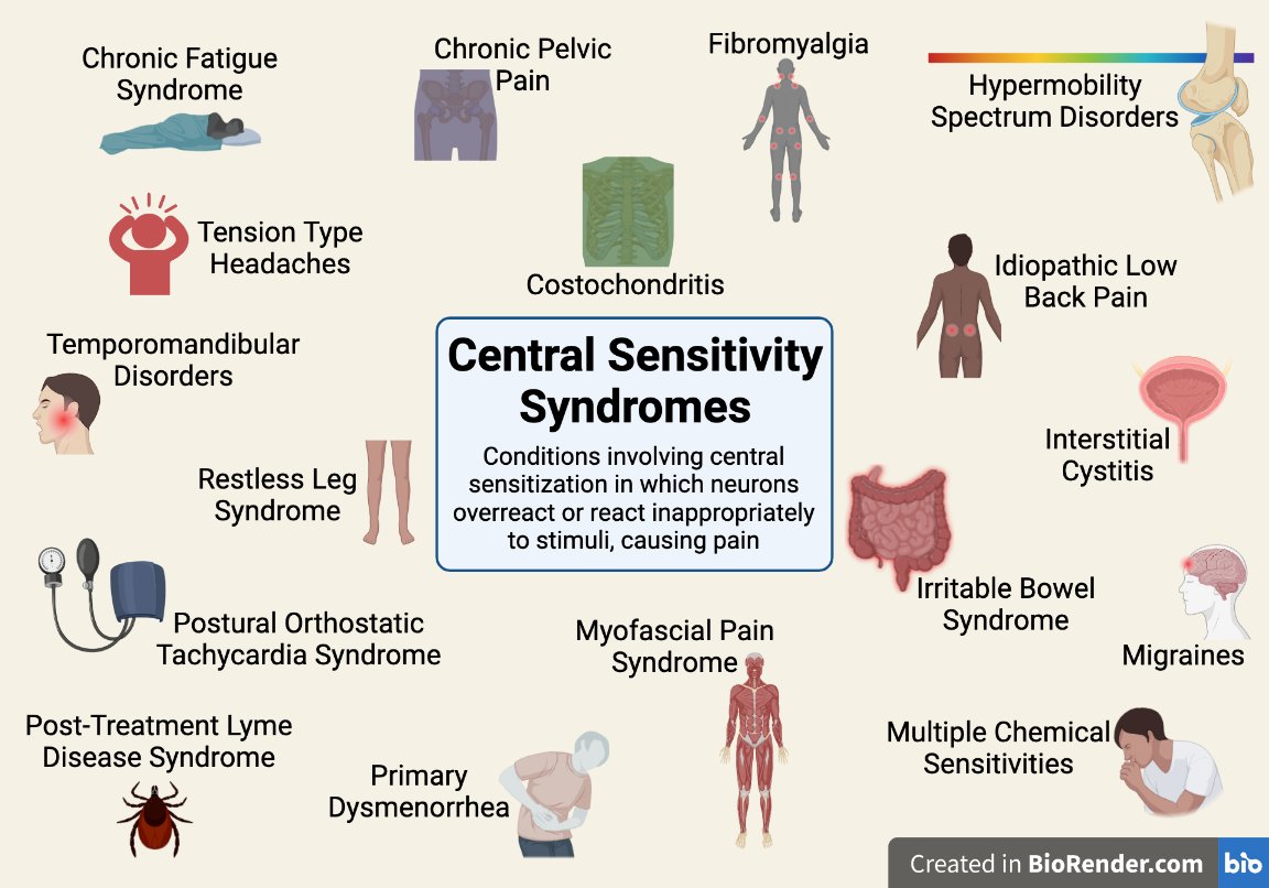 lynnswaf's tweet photo. Today is the last day of Hypermobility Spectrum Disorders Awareness Month. HSDs are one of the many Central Sensitivity Syndromes. These conditions frequently occur together. I have had at least six of them. #HSDawareness https://t.co/quevmDar60