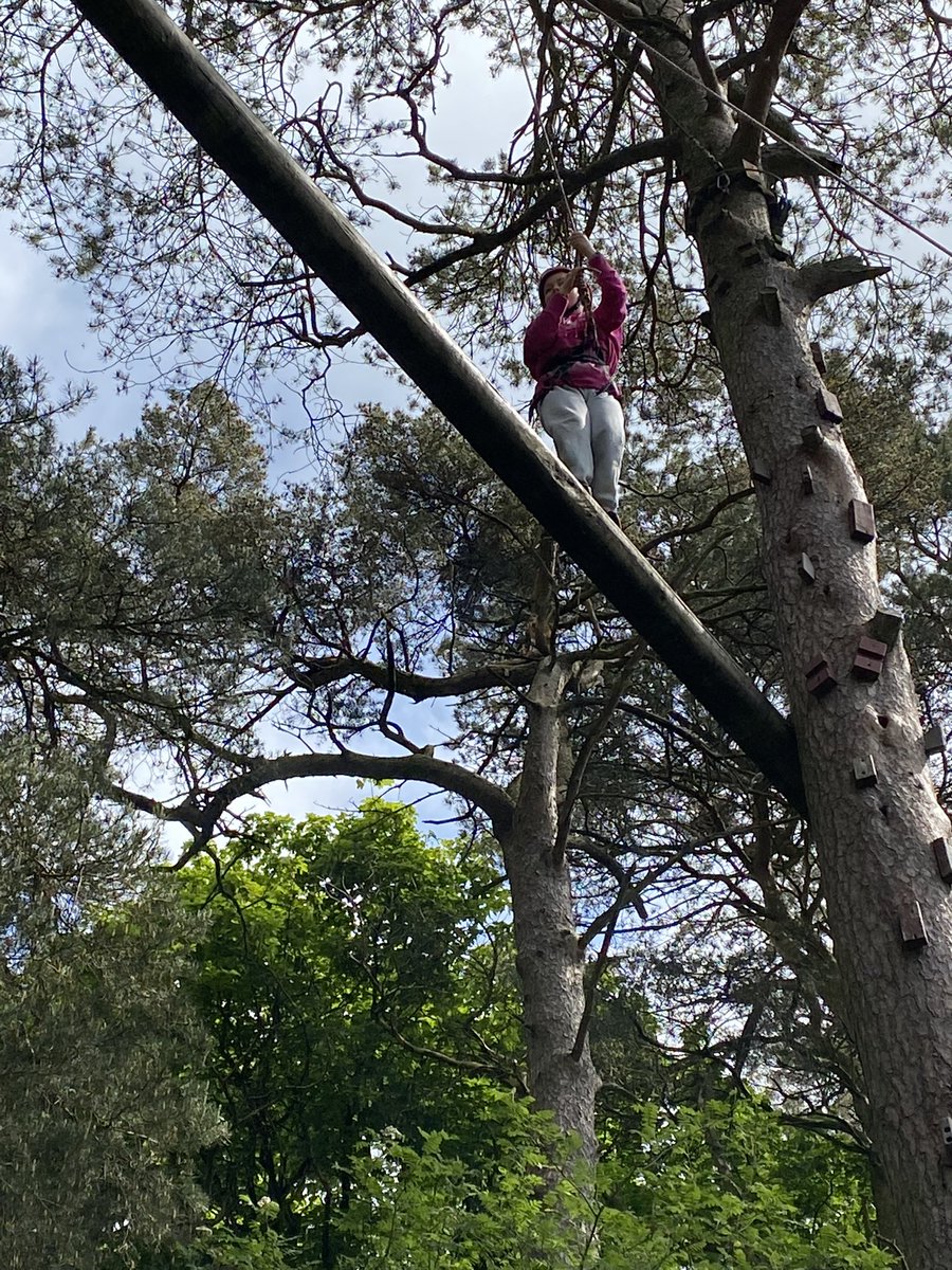 MrsPorterLVPS tweet media