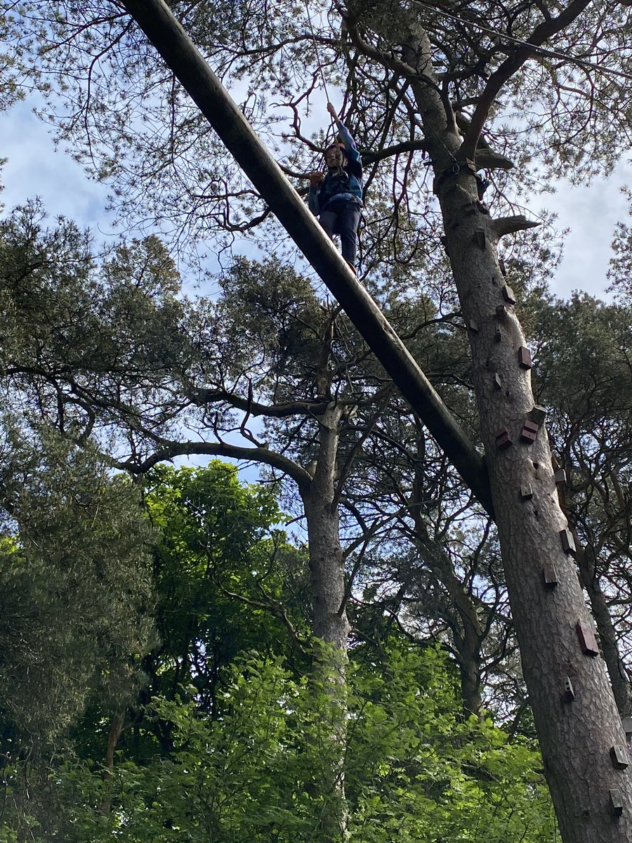 MrsPorterLVPS tweet media