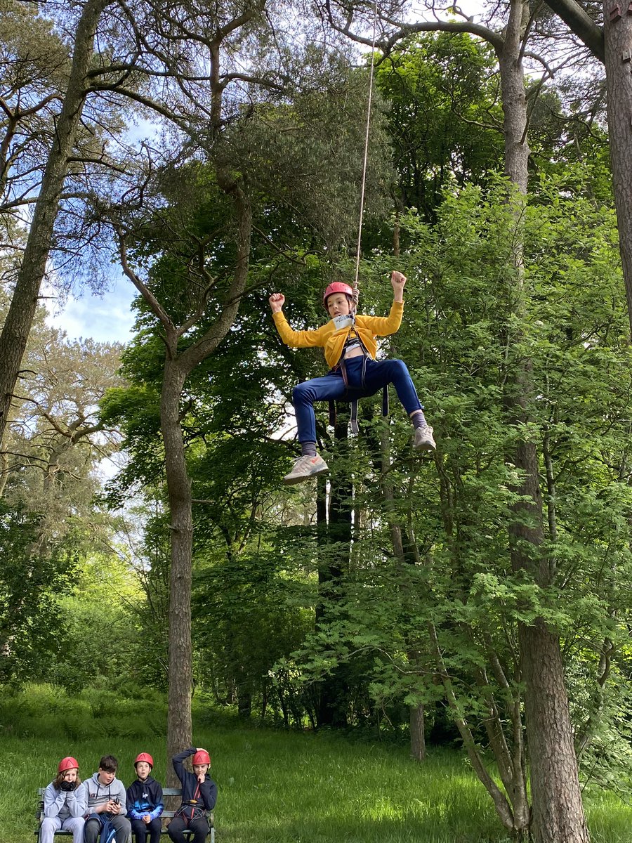 MrsPorterLVPS tweet media