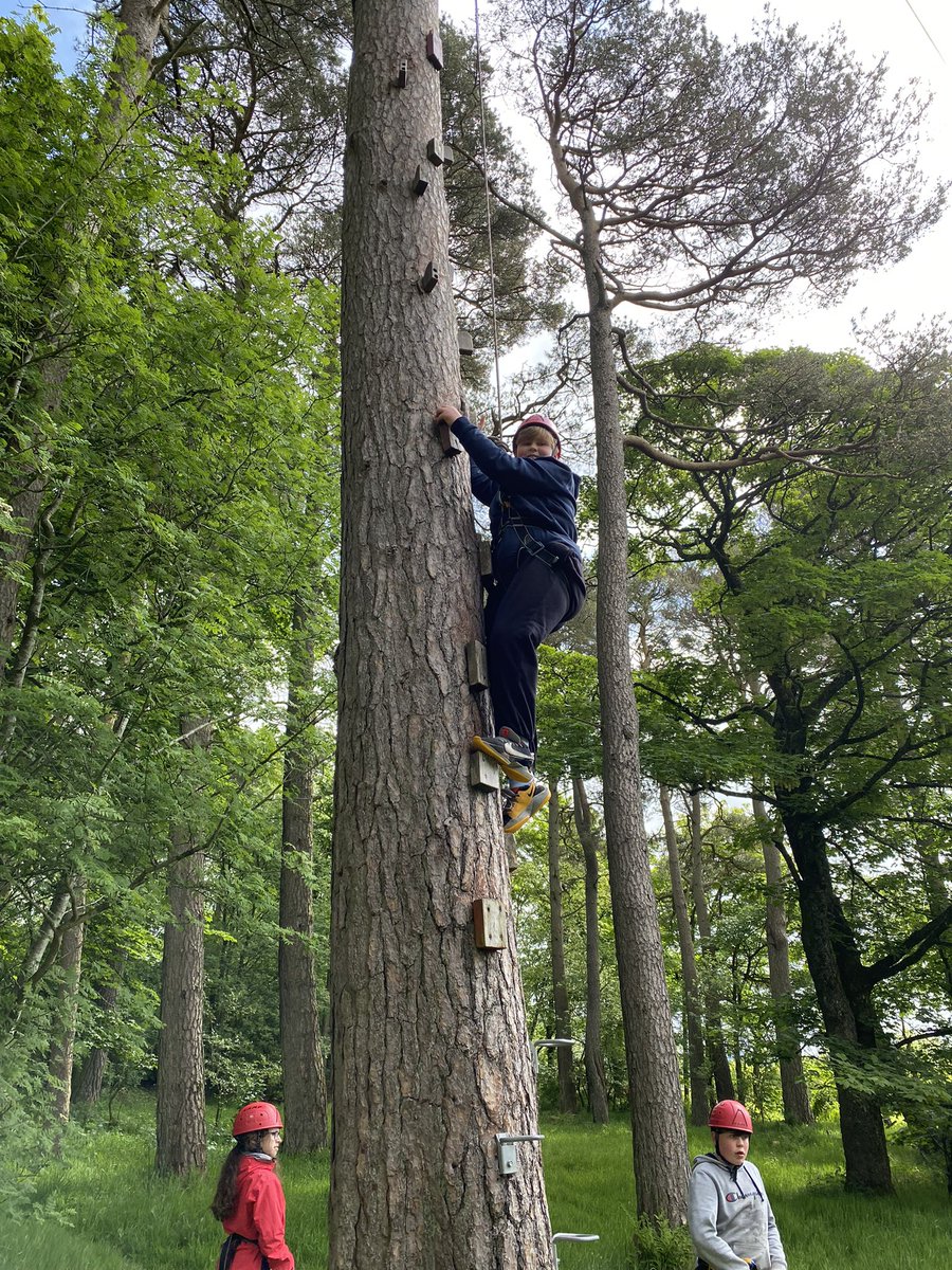 MrsPorterLVPS tweet media