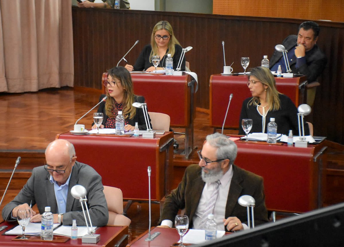 tatyanaale's tweet image. Hoy se trató un proyecto para exhortar al Ejecutivo a que cumpla con la Ley I 659 de Seguridad Alimentaria, que destina el 1% del Presupuesto a la compra de alimentos para la atención prioritaria de las necesidades básicas de la población de alta vulnerabilidad y en riesgo.