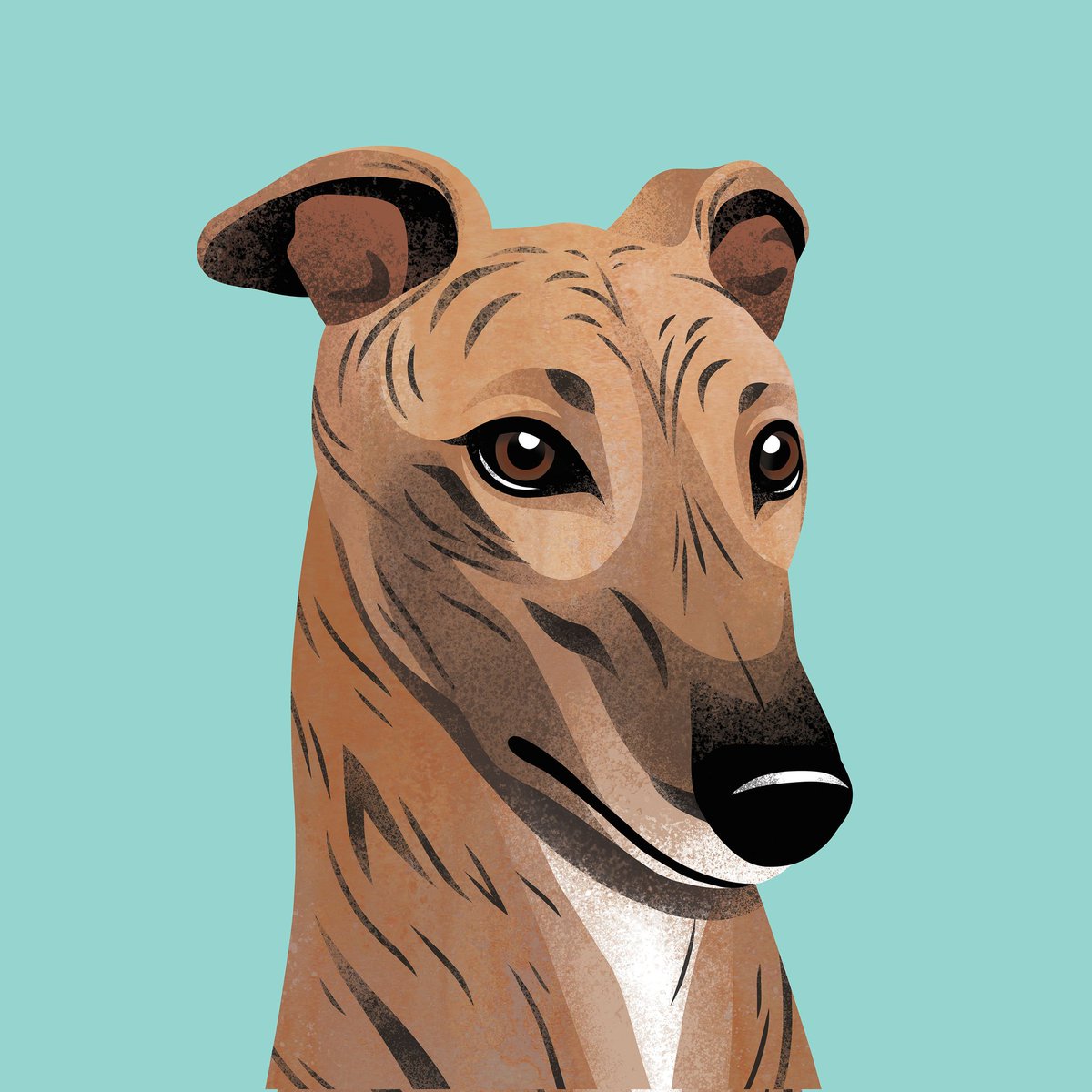 PoochAndPrint's tweet photo. This is Jasper the Brindle Greyhound! 🐶 For Tristan &amp; his partner! 💙 #dogs #dogsoftwitter #Greyhound #Dog #Illustrator #illustrations #illustrationart #art #artist #petportrait #petportraitartist #dogillustration #dogdrawing #pets #animallovers #animals #DigitalArtist https://t.co/UGvkyth21R