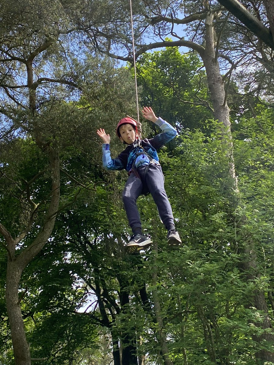 MrsPorterLVPS tweet media