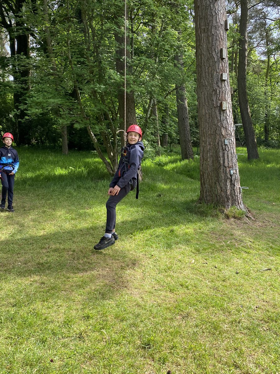 MrsPorterLVPS tweet media