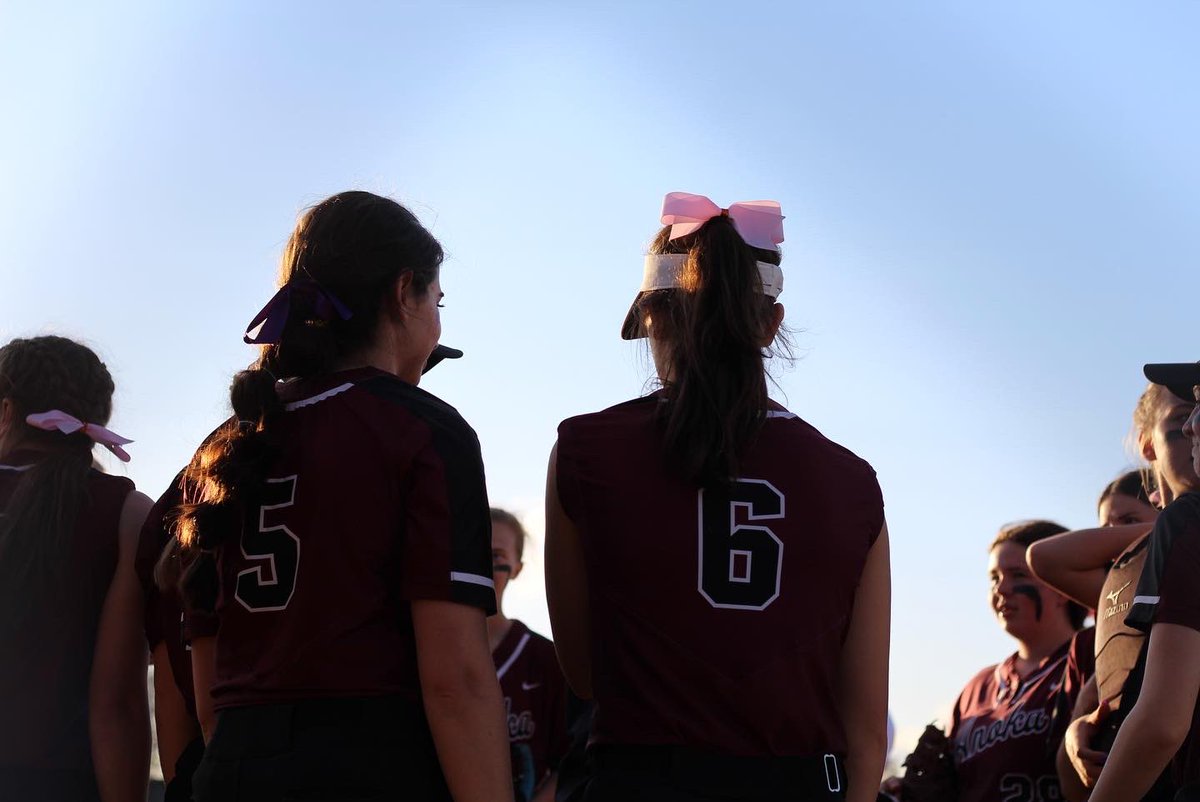 Anoka Softball tweet media