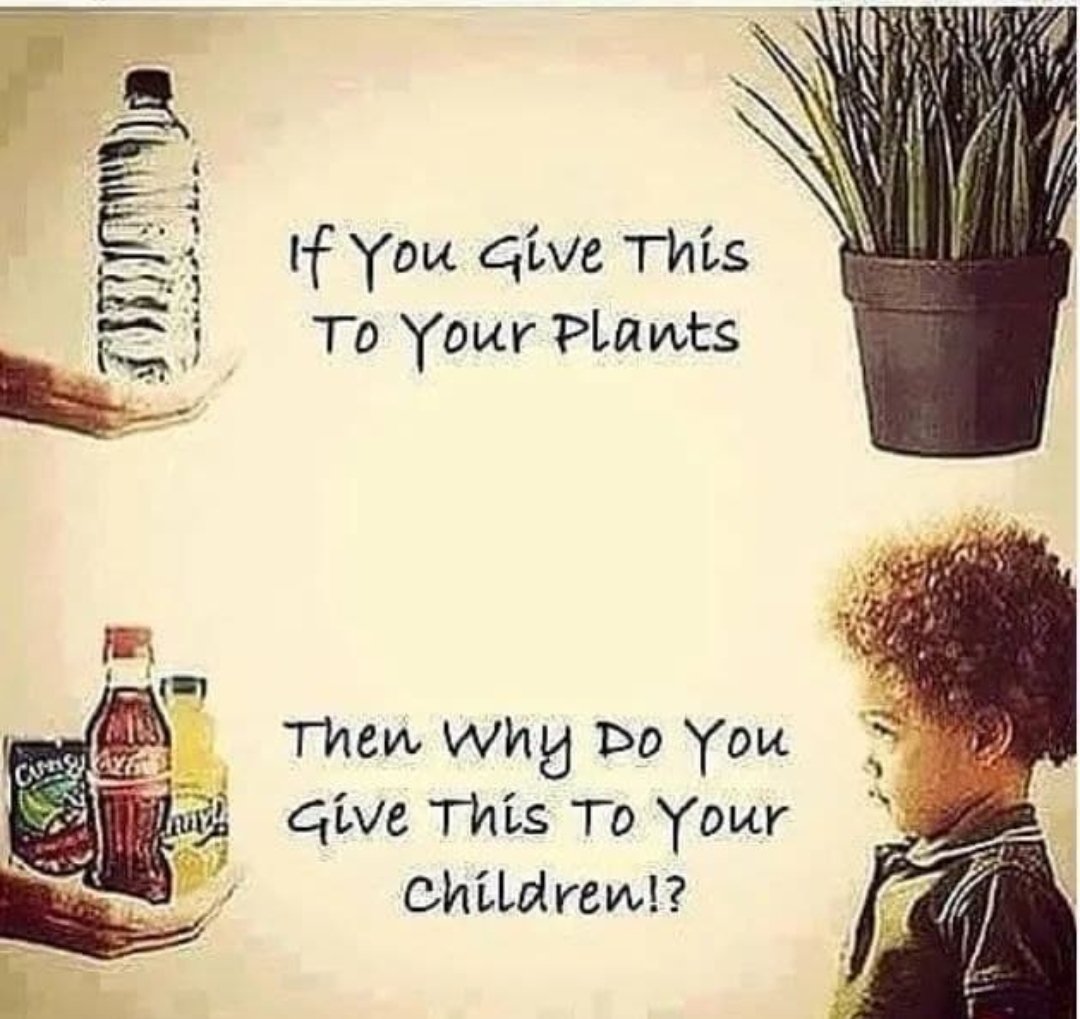 Aimeedojoninja's tweet photo. Foraging for our children's #nutrition has been made far too convenient for us with fast paced lives, but when you ponder the image below and consider the value of nutrient rich foods over a quick fix, the damage is long term...
#SaveOurKids 
#youarewhatyoueat
#healthylifestyle🤍 https://t.co/DCwK6pdkx1