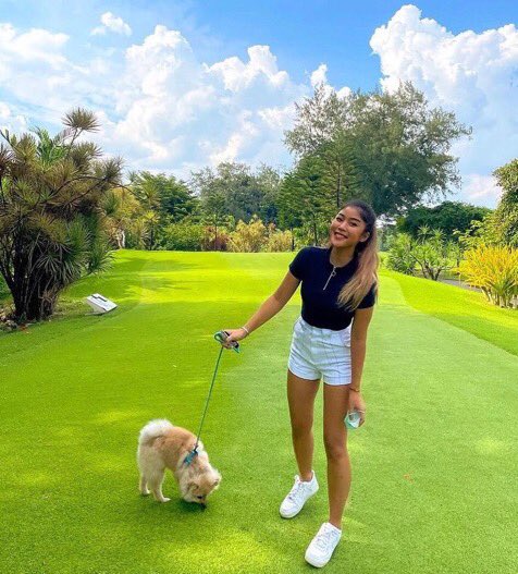 LleLuca's tweet photo. I have many dogs😺 https://t.co/gioFeLEQ0e