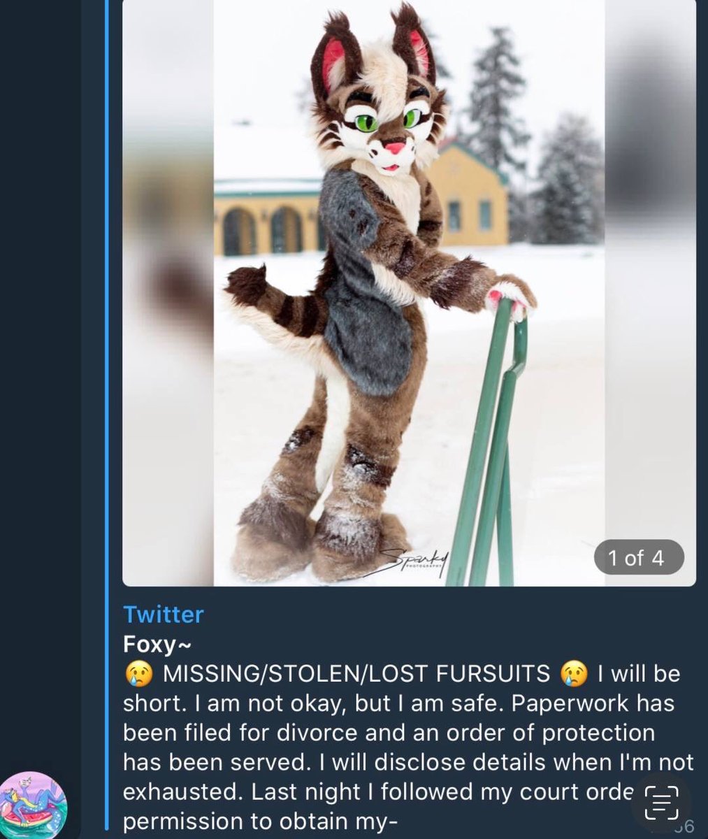 booblesfennec's tweet photo. Remember my "missing" suits? Isn't it weird that here, I say that Thorne is owned by @CorgiEventsLLC but yet is still in my possession after me being fired by treble? https://t.co/5mkWDOP1cV