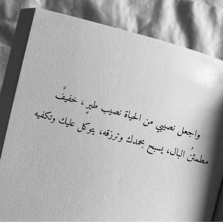 عبارات من كتب. tweet media